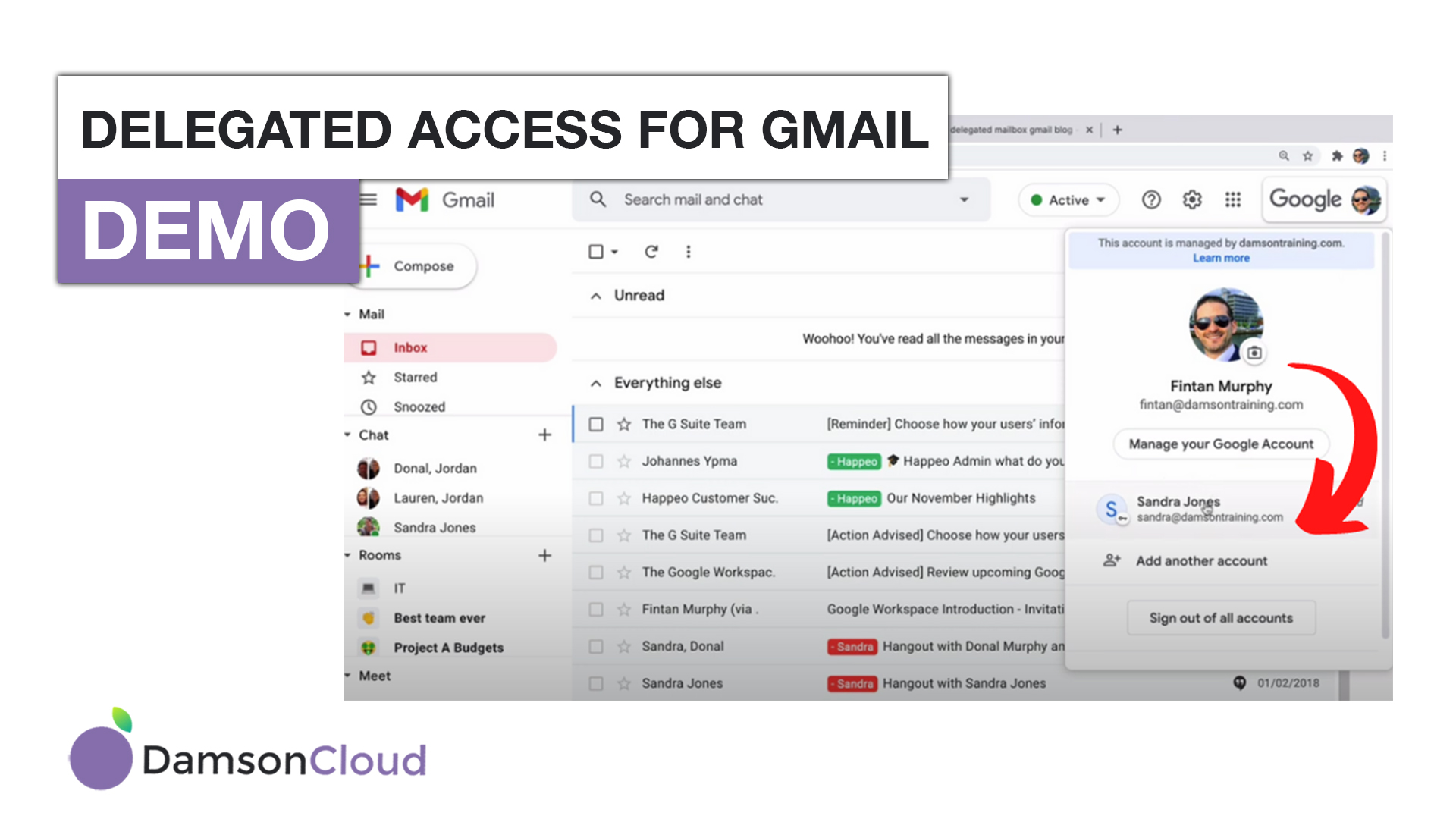 What is the Delegated Access in Gmail and How Has It Changed? DamsonCloud